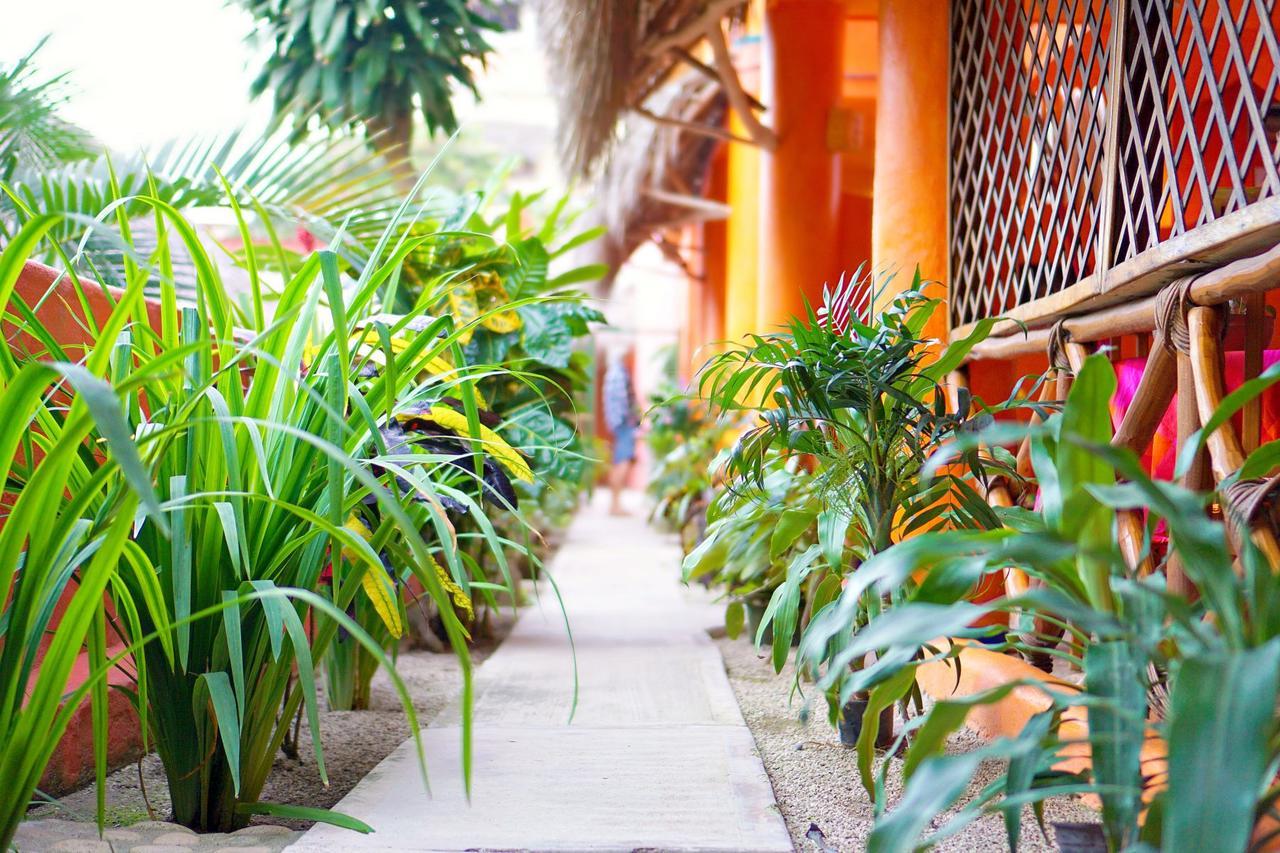 Aurinko Bungalows Sayulita Eksteriør billede